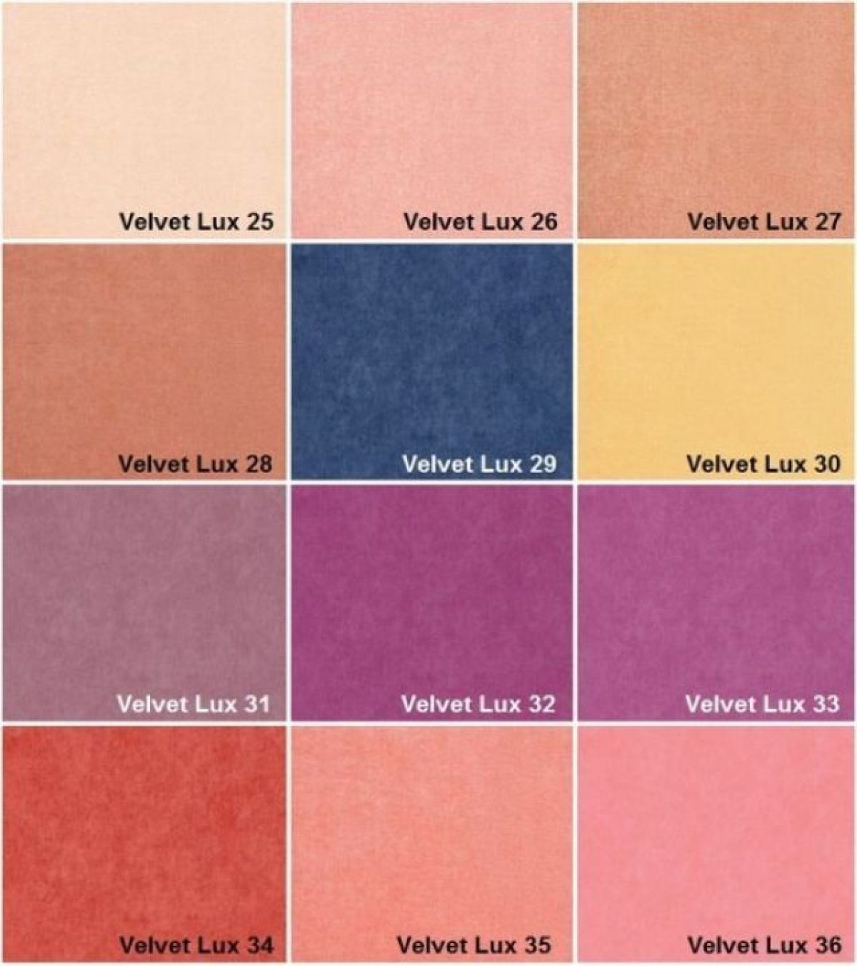 Шкаф Чемпион с мягкой обивкой (*без надписей) | фото 10